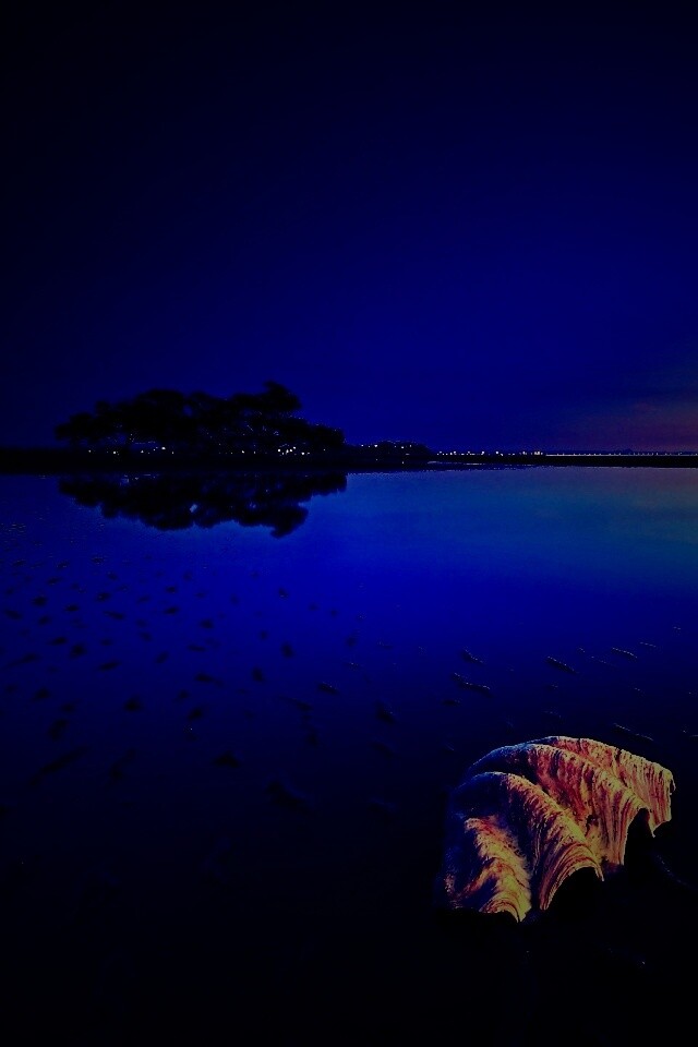 Закат на берегу моря обои