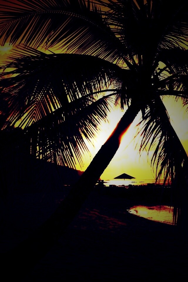 Пляж на закате обои