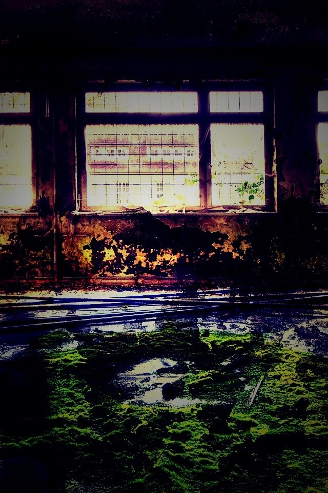 Запустение обои