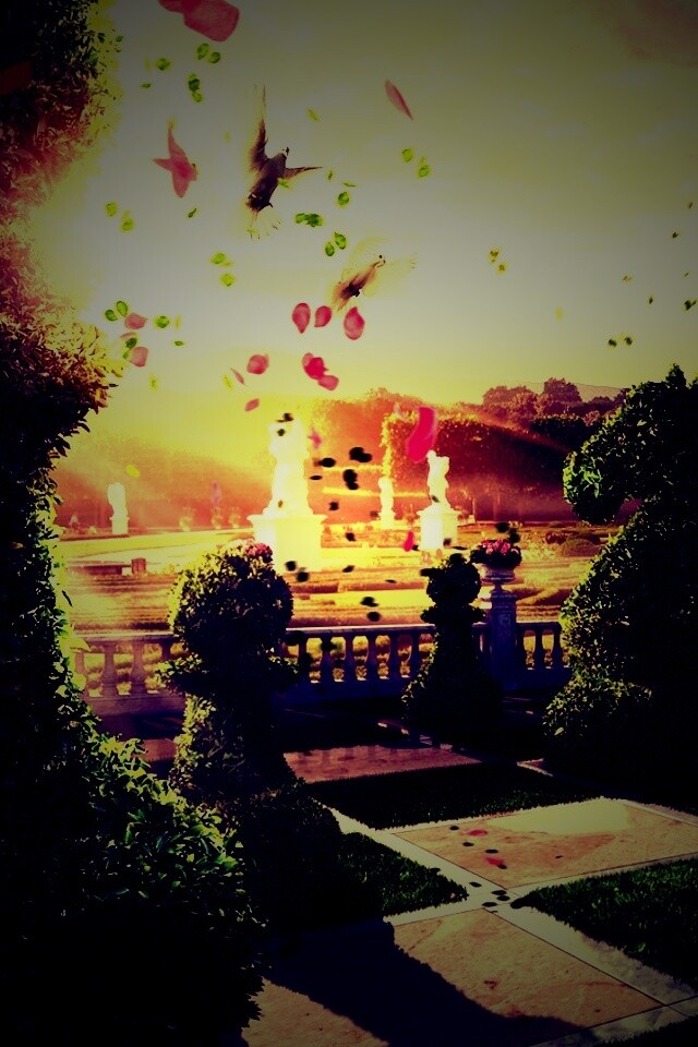 Шахматный сад обои