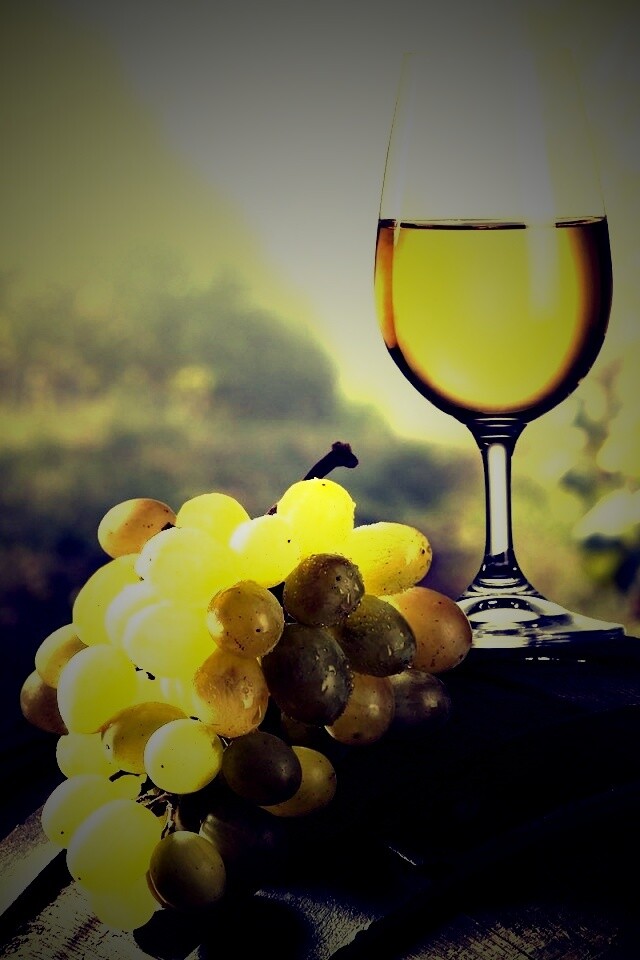 Винная бочка и бокал с белым вином обои