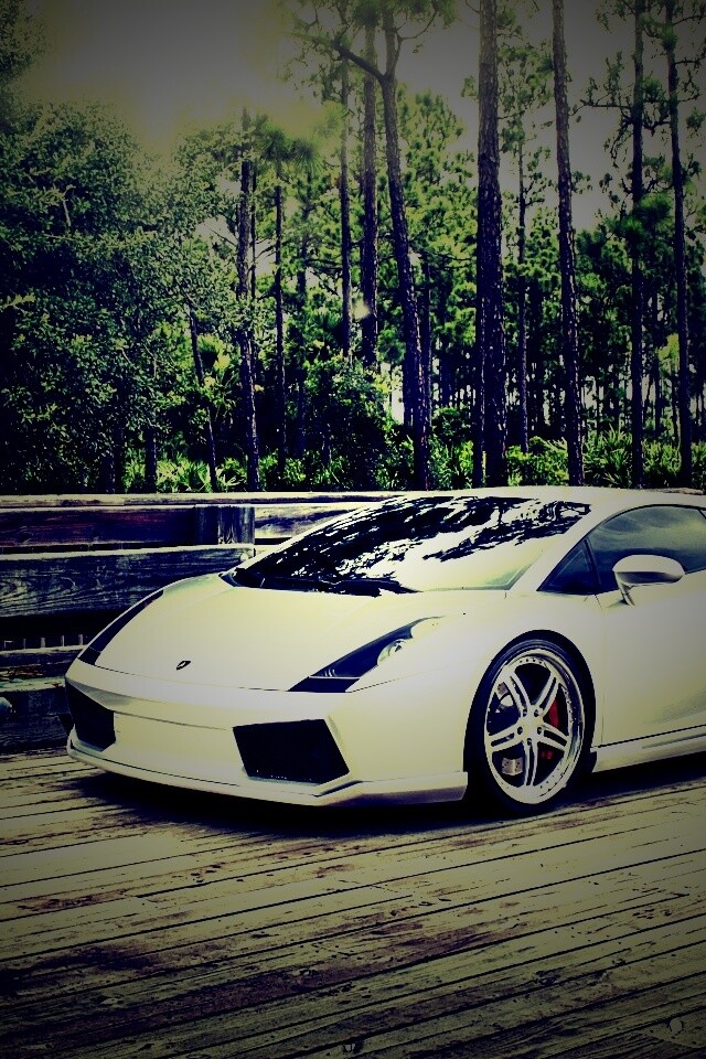 Ламбоджини на мосту в лесу обои