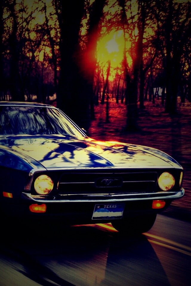 Мустанг обои