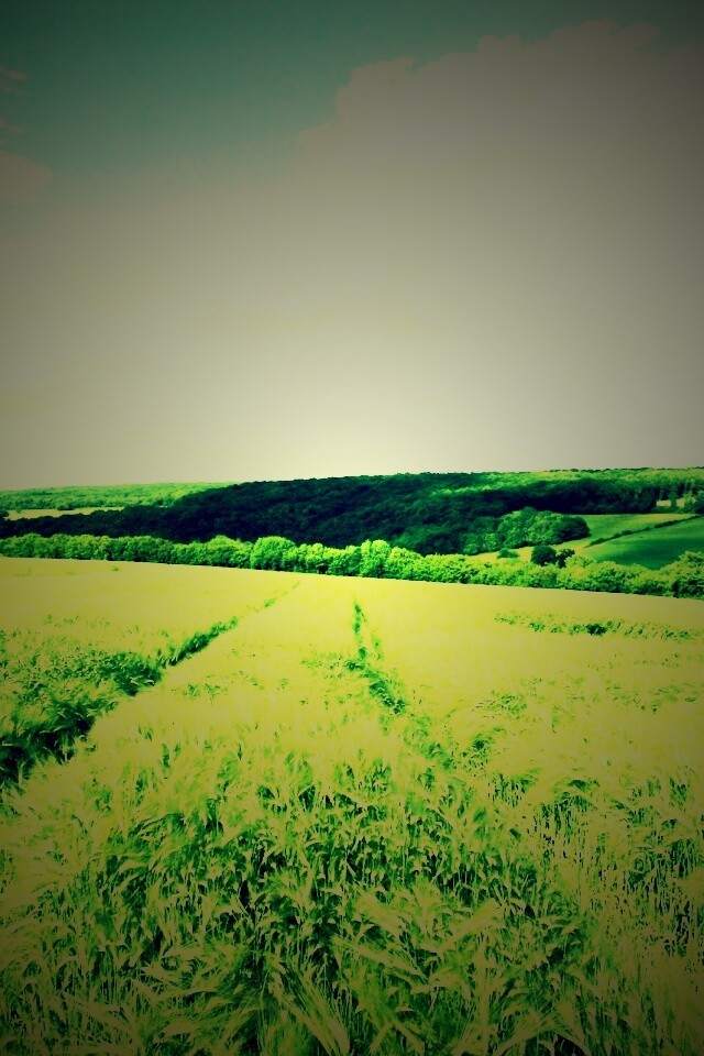 Бескрайние просторы обои