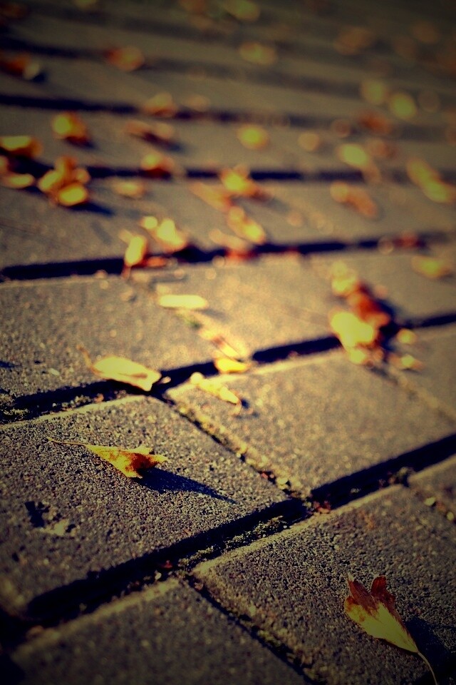 Тротуар обои