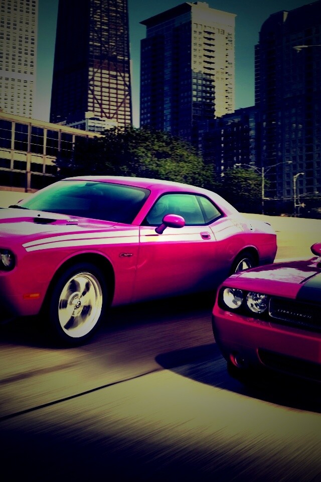 Два розовых мускулкара обои