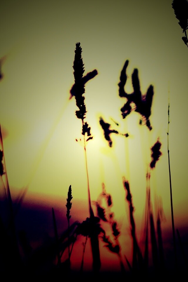 Дыхание природы обои