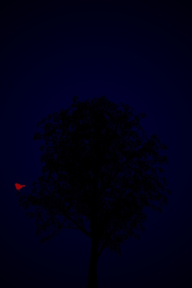 Дерево и птица обои