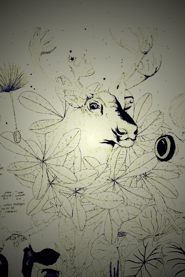 Животные на рабочий стол Apple обои