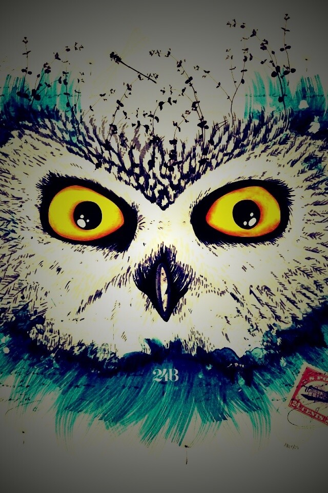 Обои сова для mac book обои