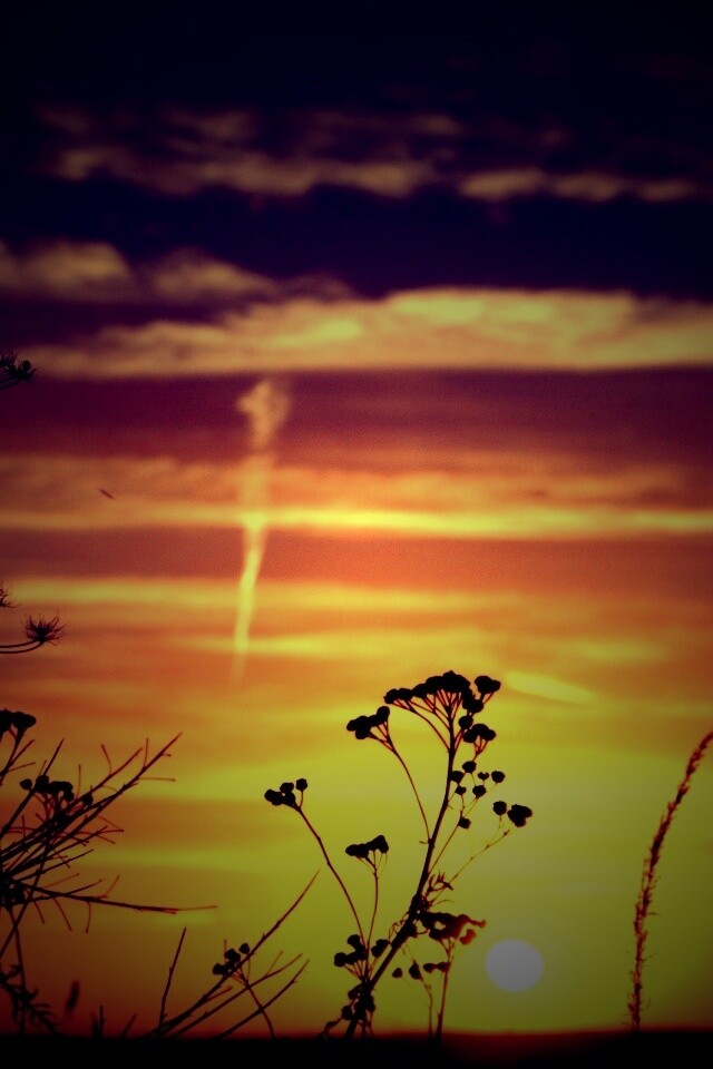 Степной закат обои