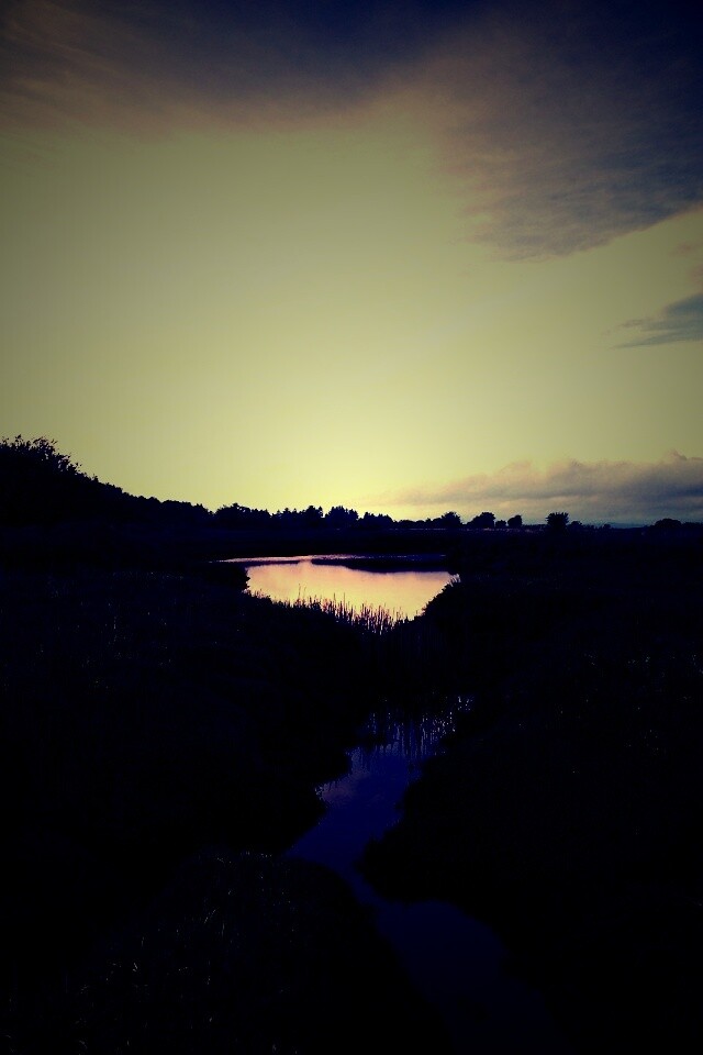 Канава и пруд обои