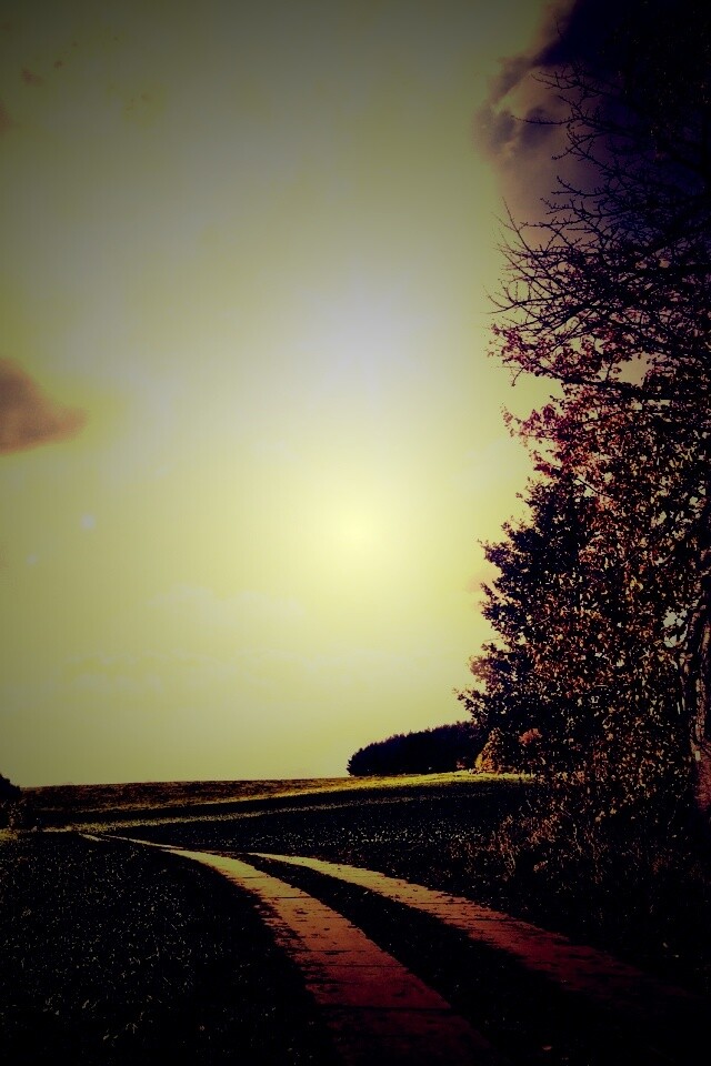 Солнечные холмы обои