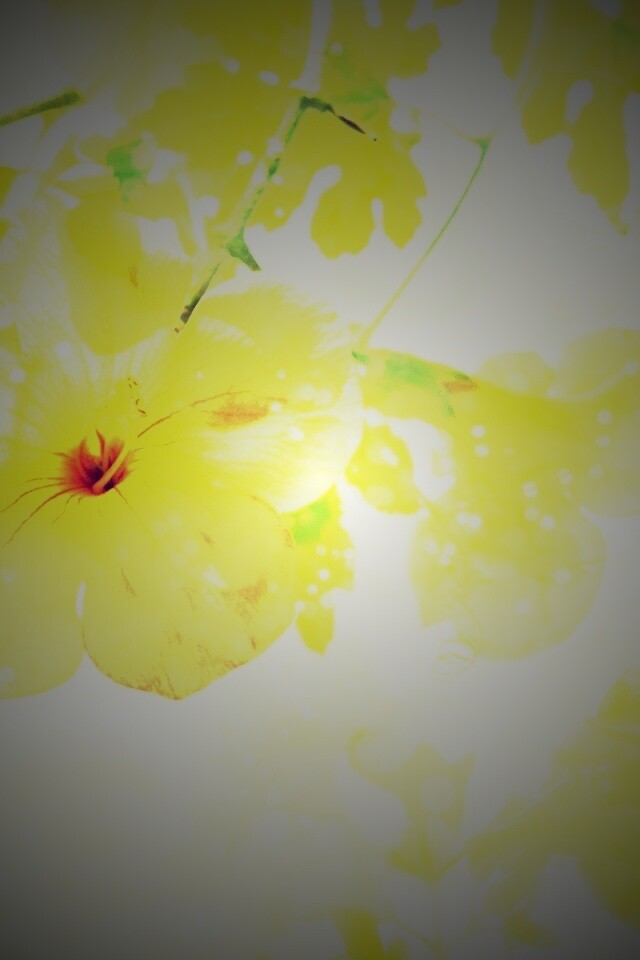 Цветочное настроение обои