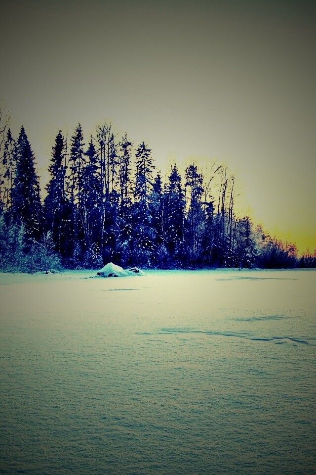 Зимний закат обои
