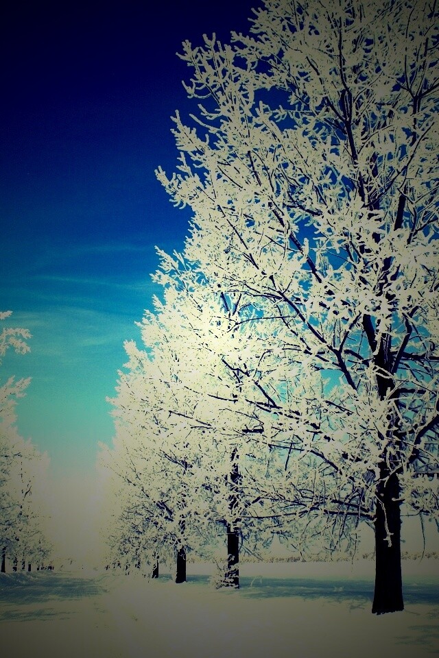 Снежная долина обои