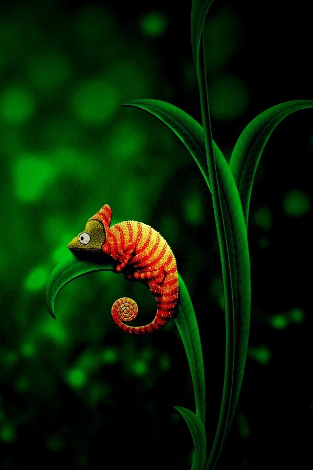 Хамелеон замаскированный под улитку обои