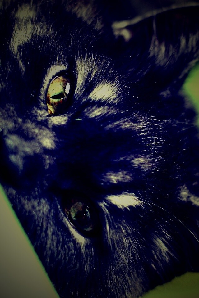 Глаза и уши обои