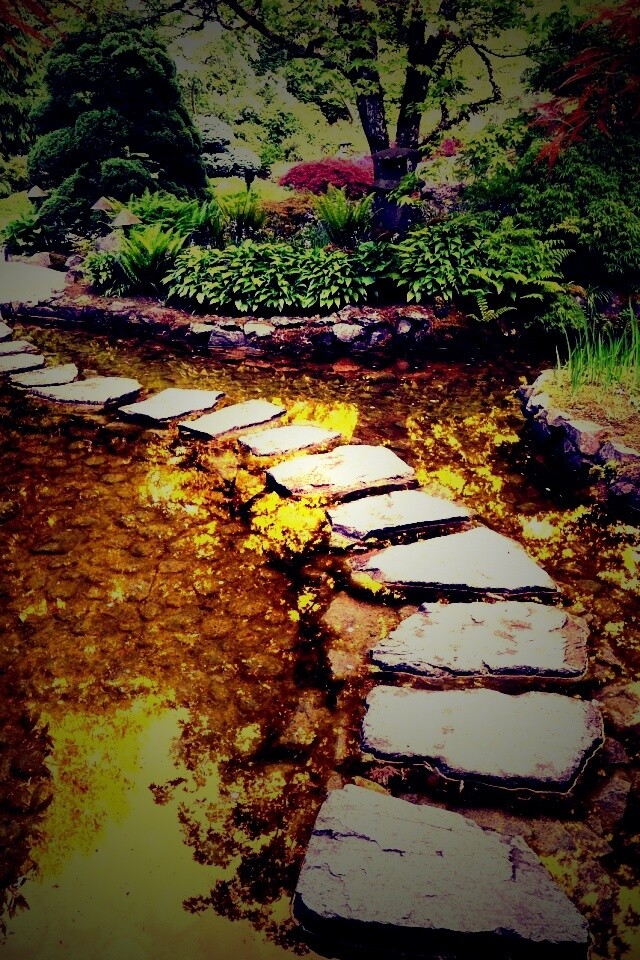 Дорожка через пруд обои