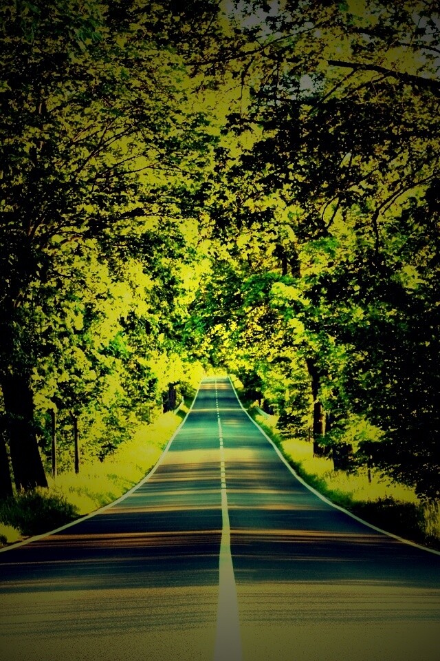 Под горку и в лес обои