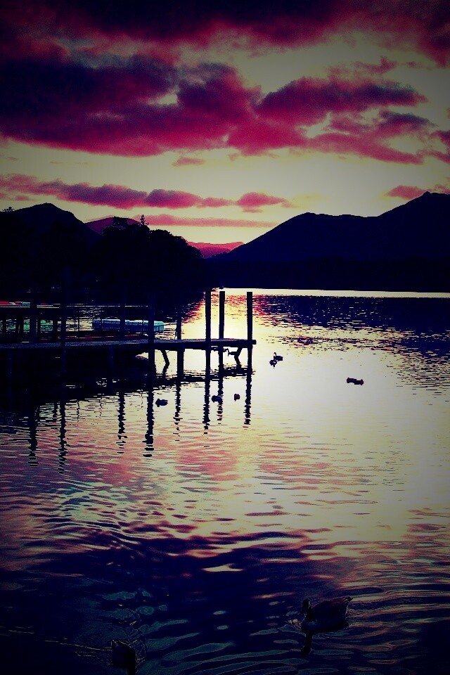 Причал на озере и утки обои