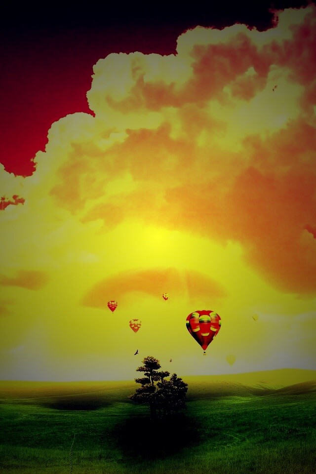 Мечты о полёте обои