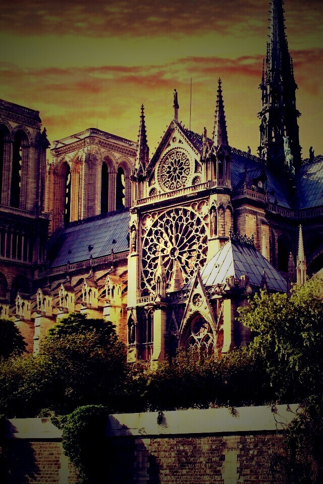 Собор парижской Богоматери обои