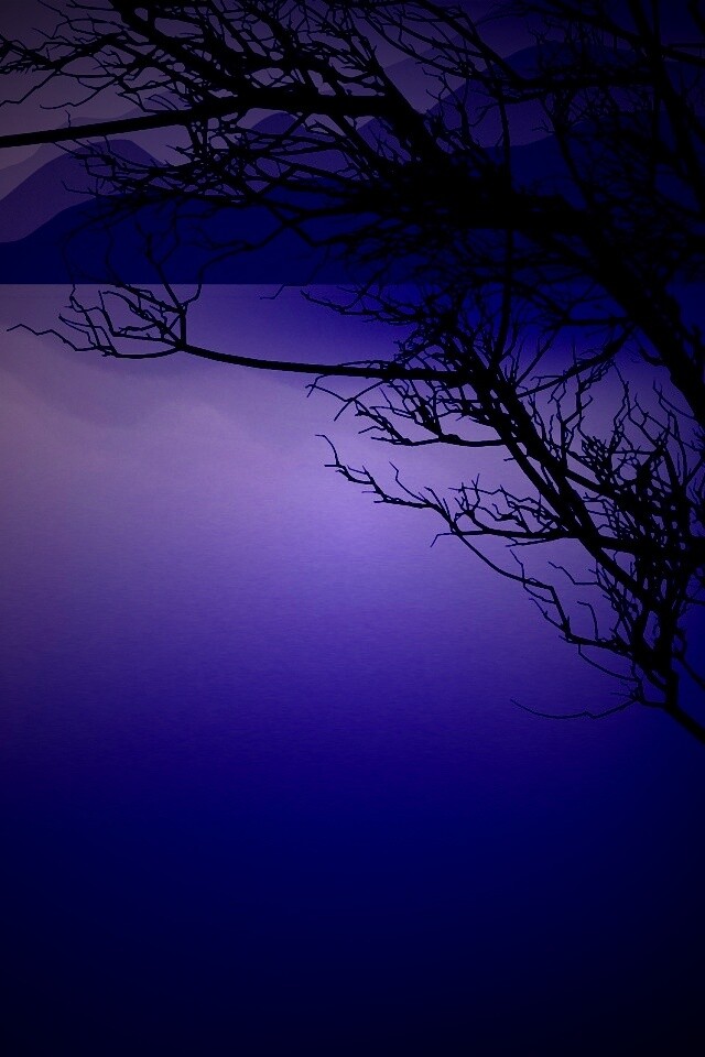 Ветка над вечерним озером обои