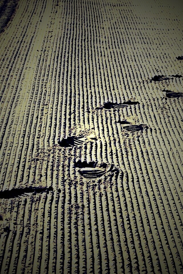 Следы на песке обои