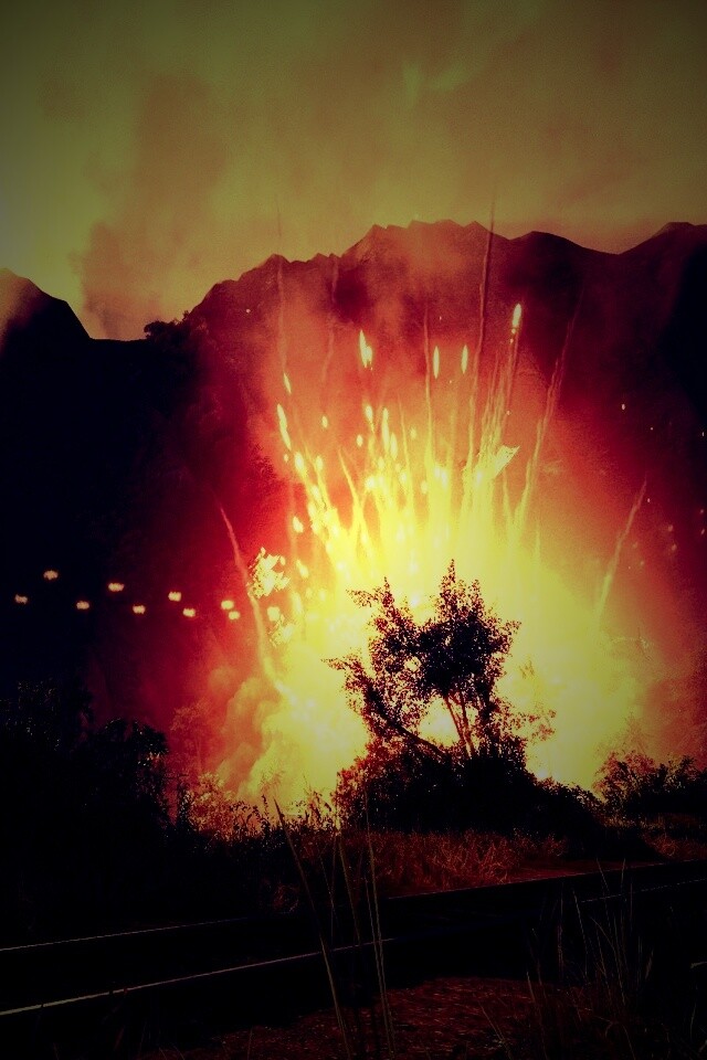 Взрыв в кустах обои