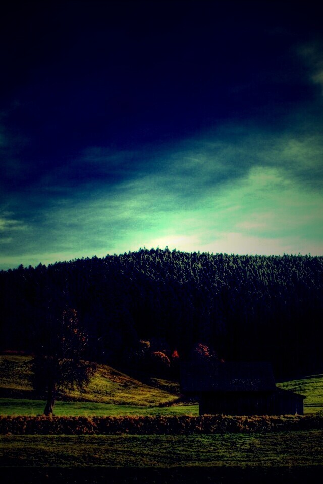 Домик в поле обои