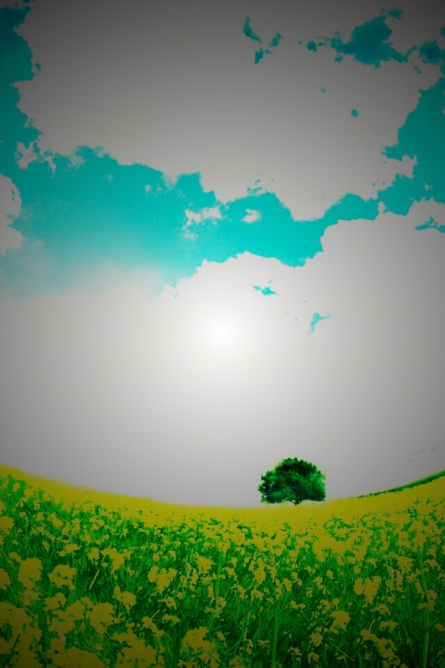 Искаженный мир обои