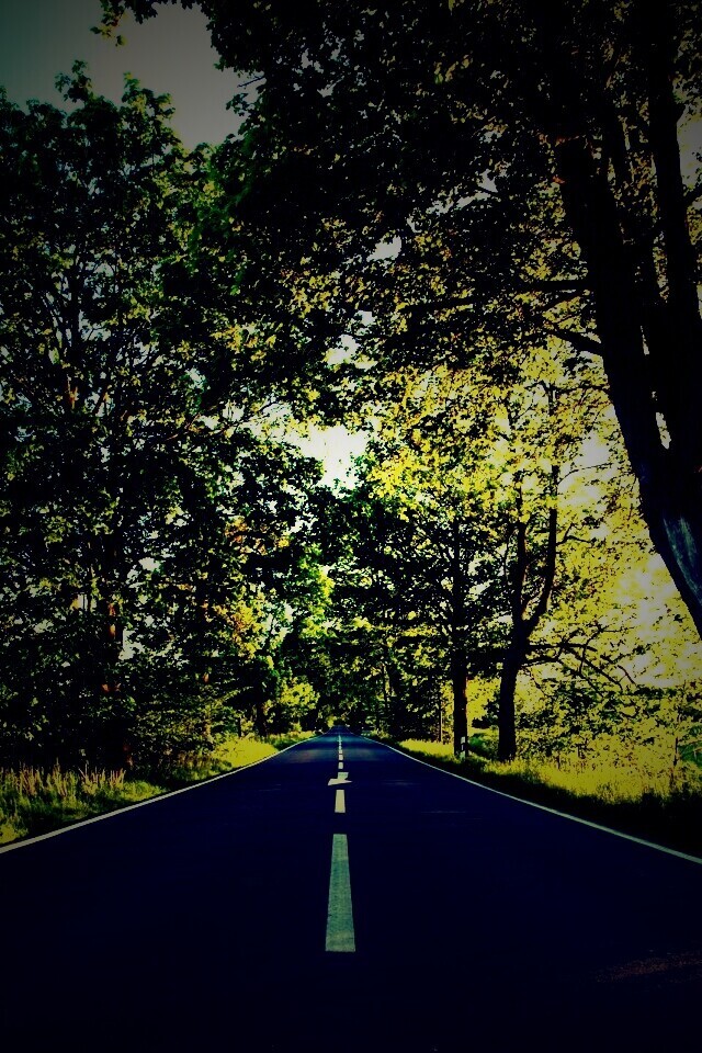 Прямая дорога обои