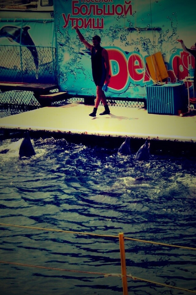 Утро в дельфинарии обои