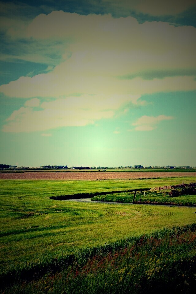 дом на лугу обои