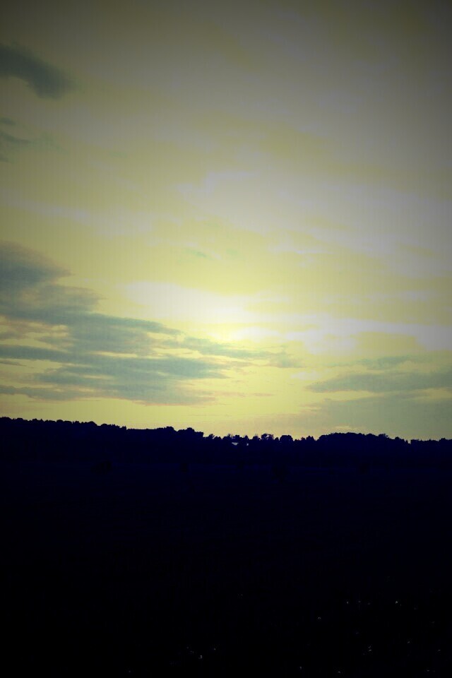 Дорога к лесу обои