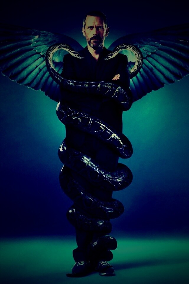 Заставка шестого сезона HOUSE M.D. обои