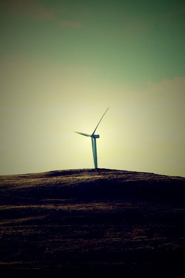 Ветряки в поле обои