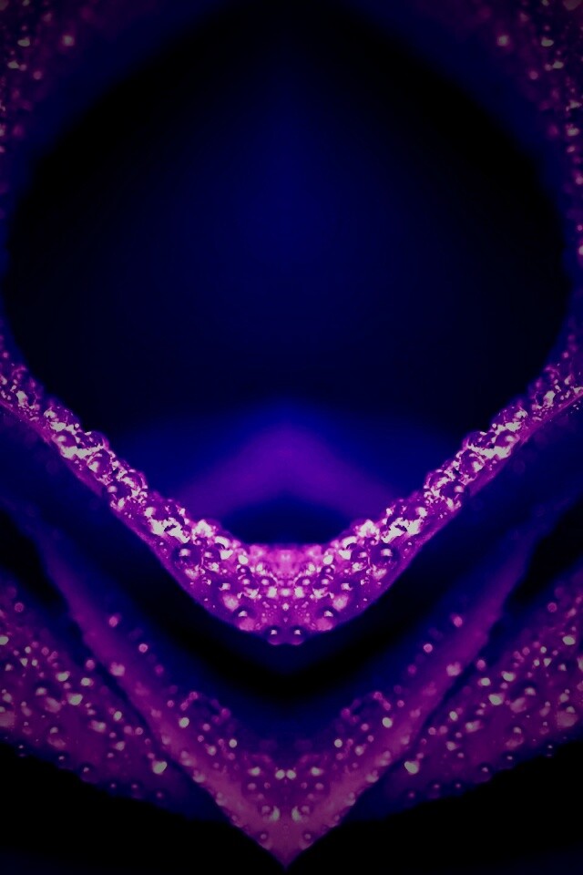 Цветочный зев обои