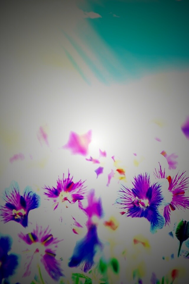 Цветочки обои