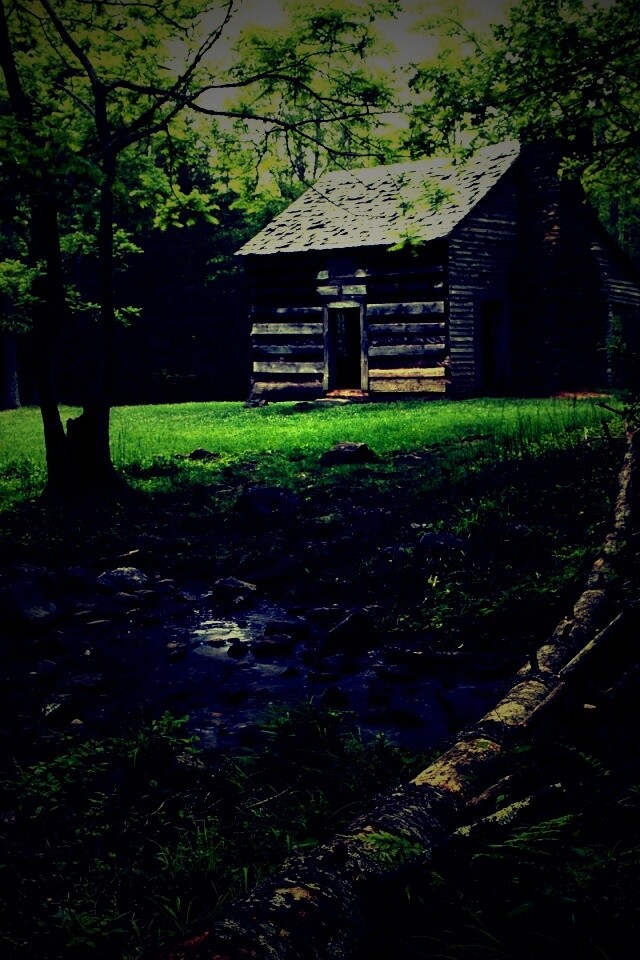 Домик в лесу обои