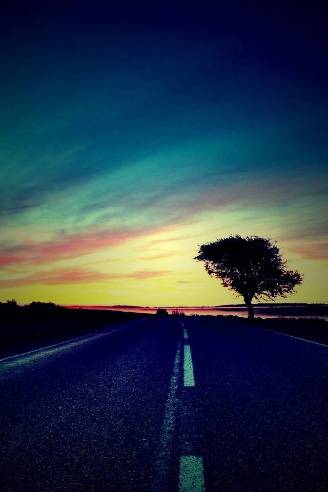 Дорога обои