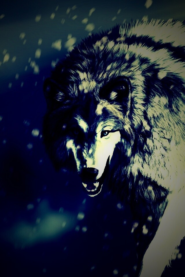 Охота на волка обои