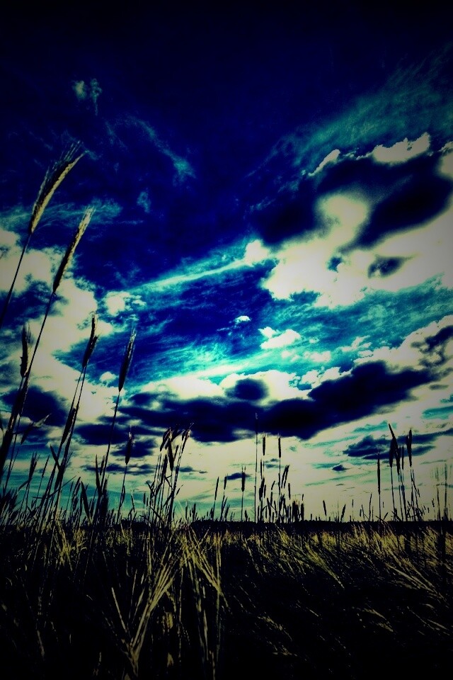 HDR Поле обои