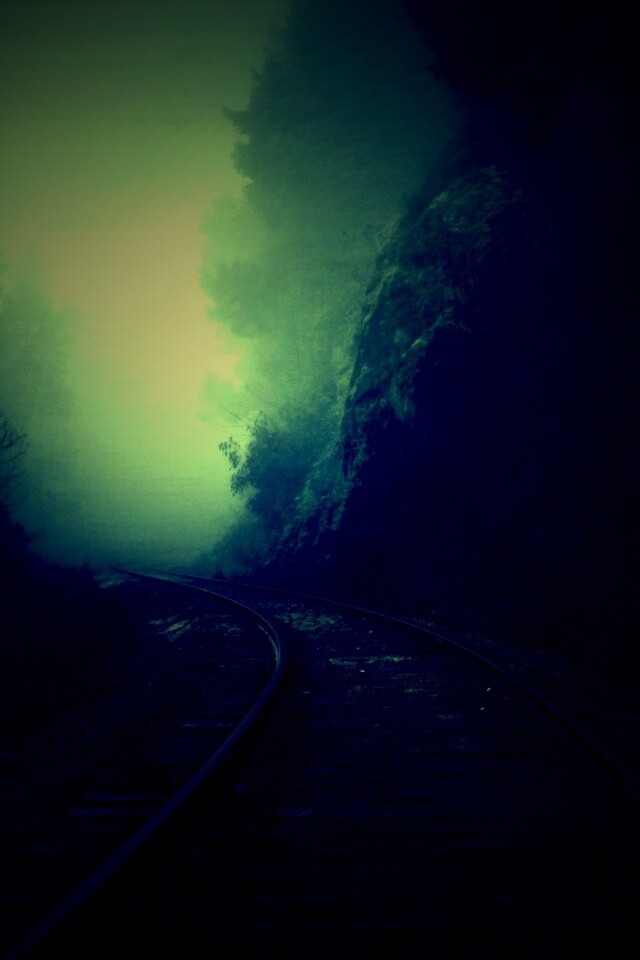 Рельсы уходя в туман обои