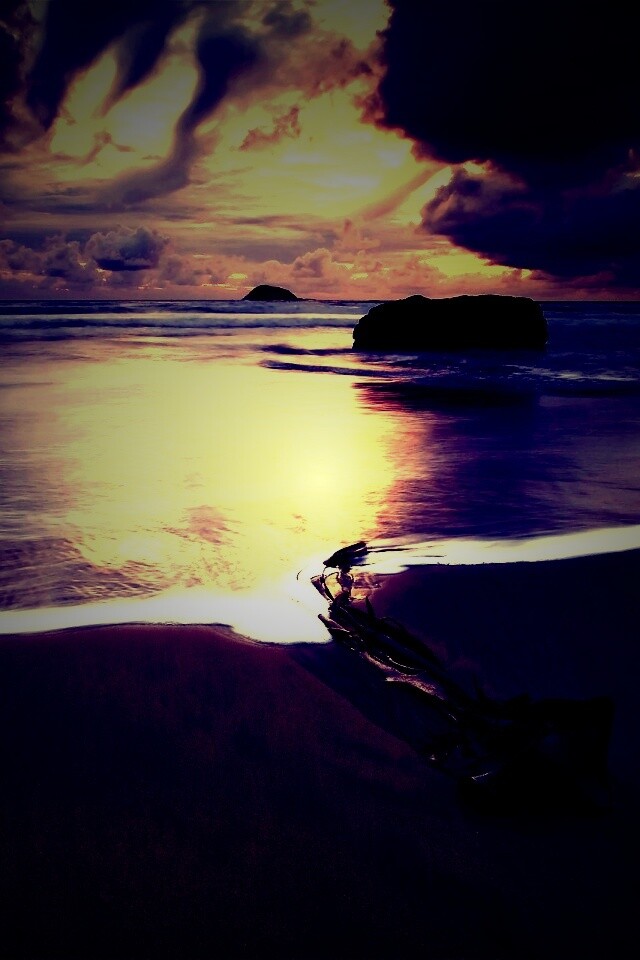 Коряга на пляже обои