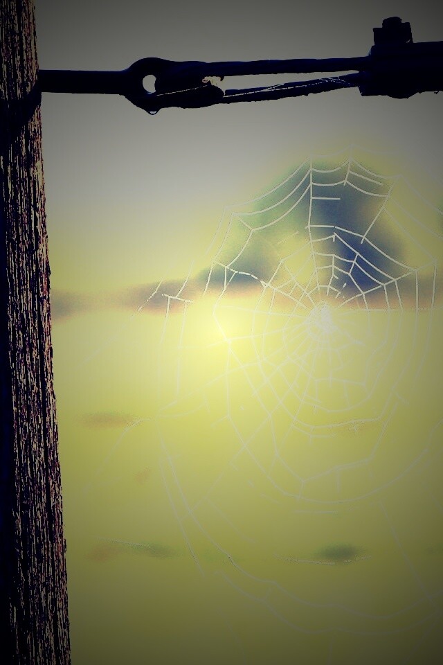 Паутина 51 обои