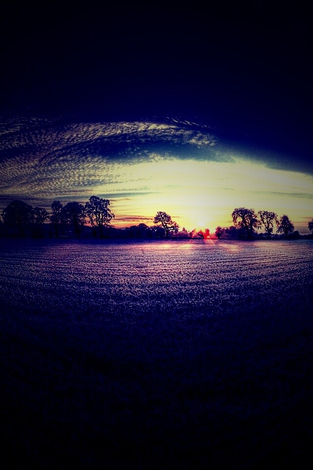 Поле широкоугольным объективом обои