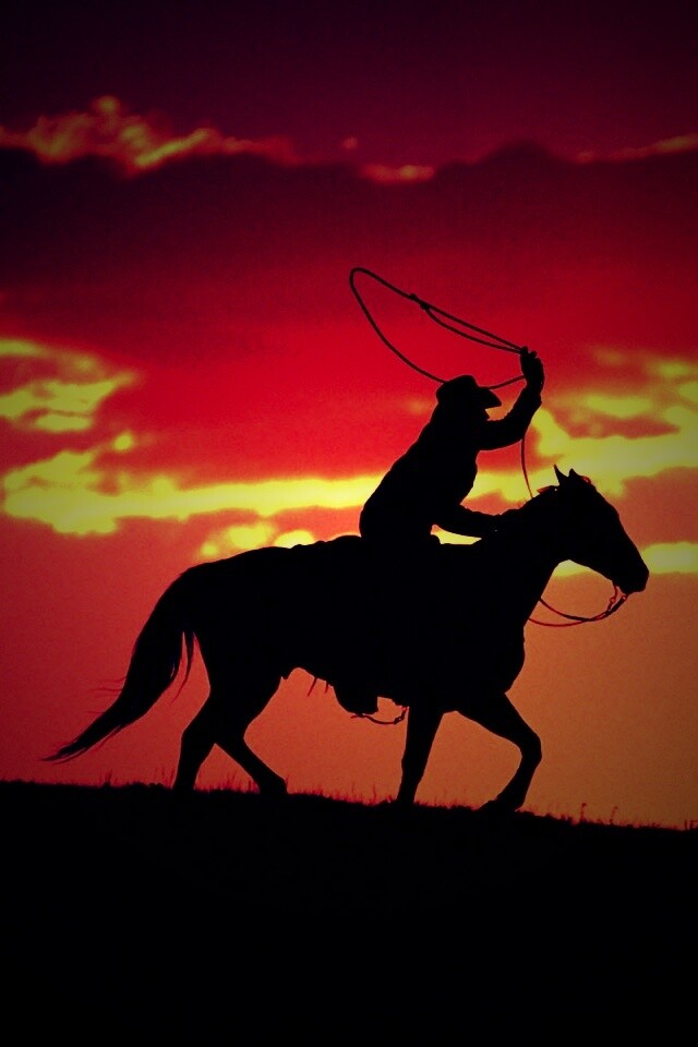 Силуэт ковбоя на закате обои