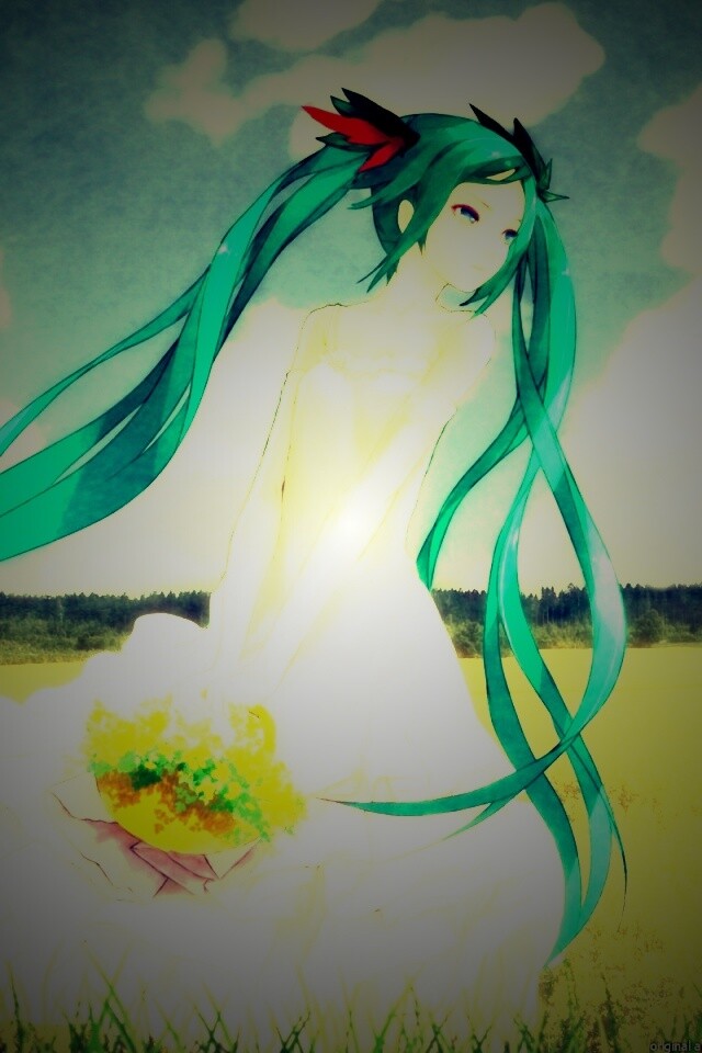 Хатсуне в поле обои